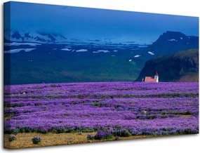 Vászonkép Canvas Natura Lila Levendulamező 80x50