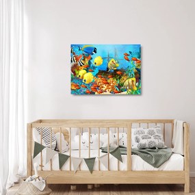 Kép - színes korallzátony (üvegen) (70x50 cm)