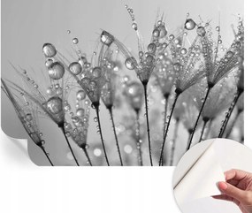 Prémium öntapadós fali tapéta Nedves finomsåg 152x104 cm