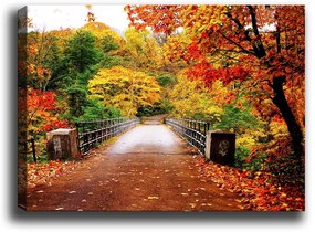 Autumn Bridge kép, 70 x 50 cm - Tablo Center