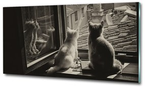 Üvegkép Macskák az ablakban osh-86646592