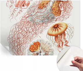 Modern öntapadós fali fotótapéta Fantázia medúzák 152x104 cm