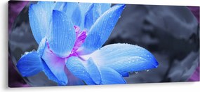 Egy virág képe részletesen (120x50 cm)