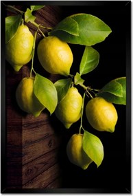 Poszter keretben 40x60 Természetes citrom Citrus