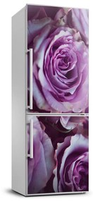 Hűtő matrica Lila rózsa FridgeStick-70x190-f-106010688