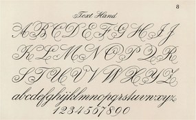 Stílusos Dekoratív fotótapéta Flizelin Kalligrafikus írás 416x254