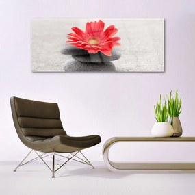 Akrilkép gerbera virág 125x50 cm