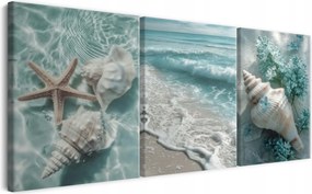 Vászonkép Tengerpart Tengerész triptichon Kagylók Óceán 90x180