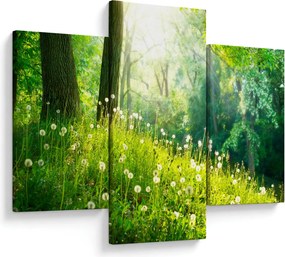 Kép - Varázslatos rét tele pitypanggal (90x60 cm)