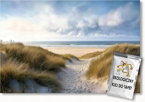 Fotótapéta Flizelina Tájkép Tenger Tengerpart Ösvény Dűnék Homok 350x250 ragasztó