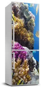 Matrica hűtőre Korallzátony xl FridgeStick-70x190-f-36026012