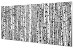 Akrilkép Fekete-fehér fa erdő 100x50 cm