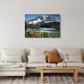 Kép - Mount Rainier (90x60 cm)