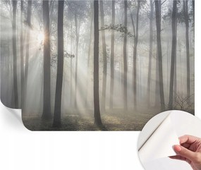 Fotótapéta Fali tapéta Hálószobába és Nappaliba Éteri erdő 104x70 cm