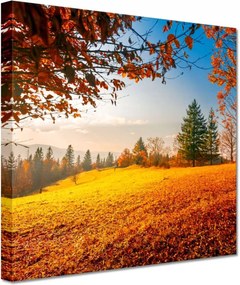 Festmények 20x20 Őszi táj