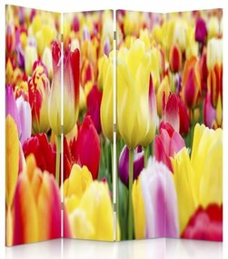 Gario Paraván Többszínu tulipánok Méret: 145 x 170 cm, Kivitelezés: Klasszikus paraván