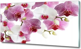 Fotó vászonkép edzett üveg Orchidea 100x70