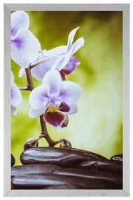 Poszter zen kövek és orchidea