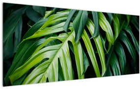 Kép - trópusi levelek (120x50 cm)