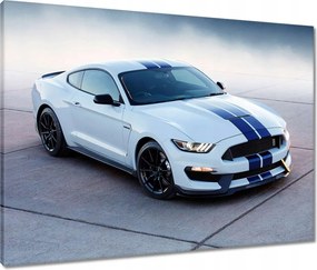 Vászonkép 80x60 Ford Mustang Shelby