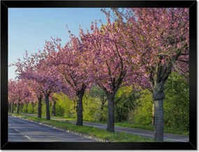 Poszterek keretben 40x30 Fa Kilátás