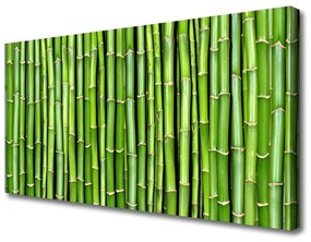 Vászonkép falra Bamboo Virág Plant 120x60 cm