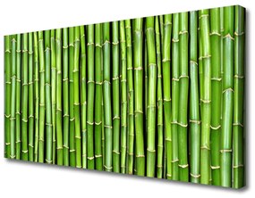 Vászonkép falra Bamboo Virág Plant 125x50 cm