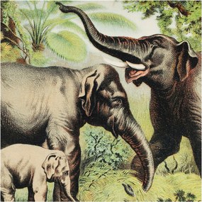 Dekoratív Fotótapéta Furnér Flizelin Családi elefántok 250x250 Ragasztó