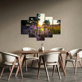 Egy levendulamező képe (150x105 cm)