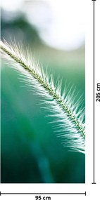 Fotótapéta ajtóra - Fűszál (95x205cm)