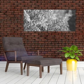 Kép - Lucfenyő erdő (120x50 cm)
