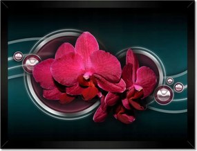 Poszterek keretben 40x30 Lila orchidea