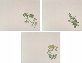 3 db-os 100% Len lenvászon konyharuha szett