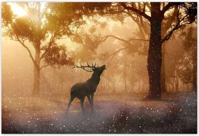 Poszterek 200x135 Szarvas az erdőben