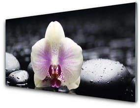 Üvegfotó Virág orchidea növény 120x60cm