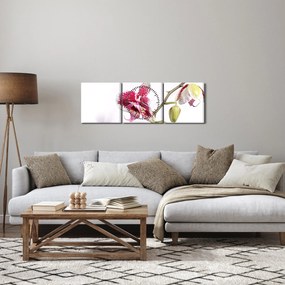 Orchidea virág képe (órával) (90x30 cm)