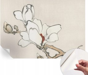 Öntapadós fali fotótapéta Hálószobába Finom magnólia 152x104