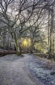 Poszter 56,6x86,4cm Vidéki csatorna fákkal és ösvényrel, Assaf Frank