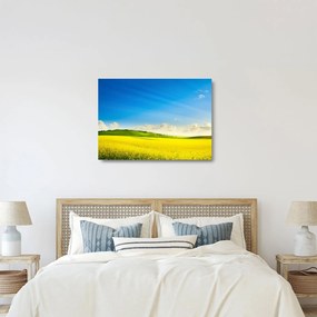 Kép - Tavaszi ég (üvegen) (70x50 cm)