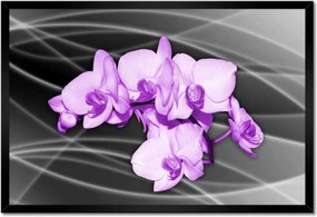 Poszter keretben 60x40 Szép orchidea virág
