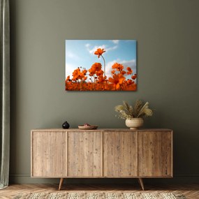 Kép - Réti virágok (70x50 cm)