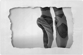 Poszterek 120x80 Balett balerina tánc