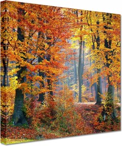 Festmények 20x20 Arany ősz