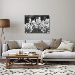 Üveg kép - Nyári rét (70x50 cm)