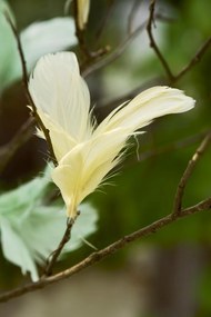 IB Laursen Dróton lógó toll FEATHER DECOR - több színben