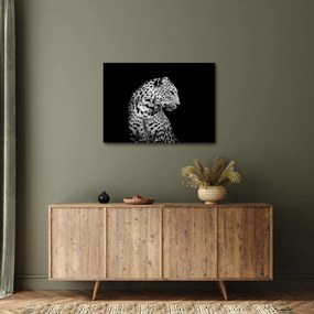 Kép - Leopárd (70x50 cm)