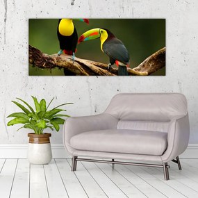 Ülő tukánok képe, Costa Rica (120x50 cm)