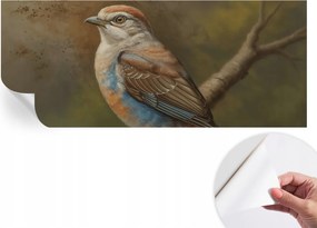 Öntapadós Dekoratív Fotótapéta Hálószobába Madár portré 250x104 cm
