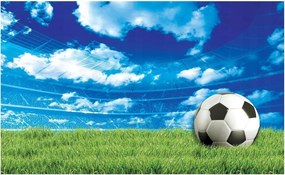 Fotótapéta Labdarúgás Stadion Tapéta Ifjúsági Fiú Szoba 368x254