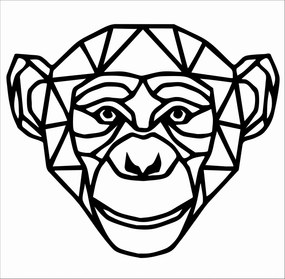 Majom Geometrikus fali dekoráció kép 60cm